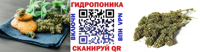Купить закладки  Богородск  Cannafood конопля 