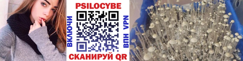 Галлюциногенные грибы Cubensis  Купить где  Богородск 